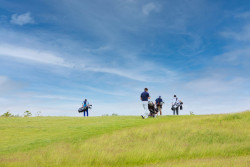 Golfers in Action (37)