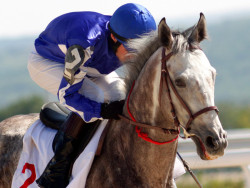 Horse Racing