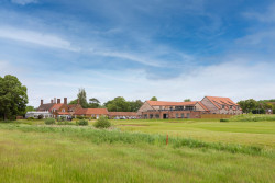 Golfers in Action (94)