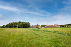 Golfers in Action (97)