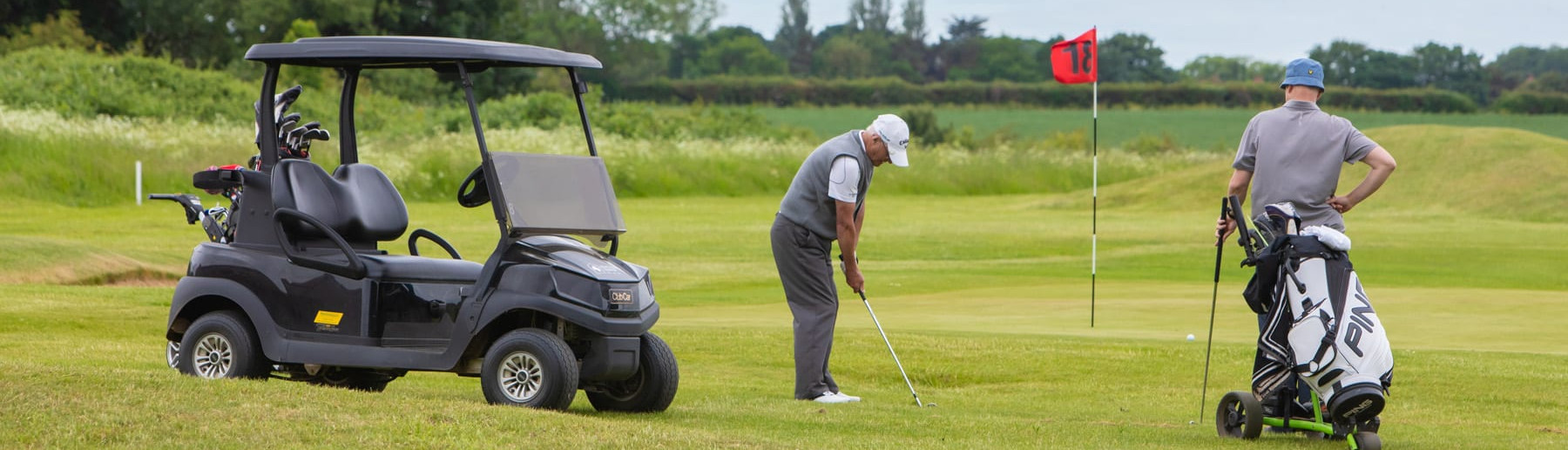 Golfers with Buggy (1)