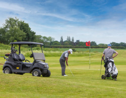 Golfers with Buggy (1)