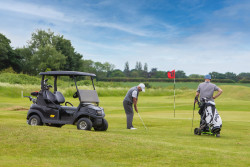 Golfers with Buggy (1)