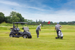 Golfers with Buggy (4)