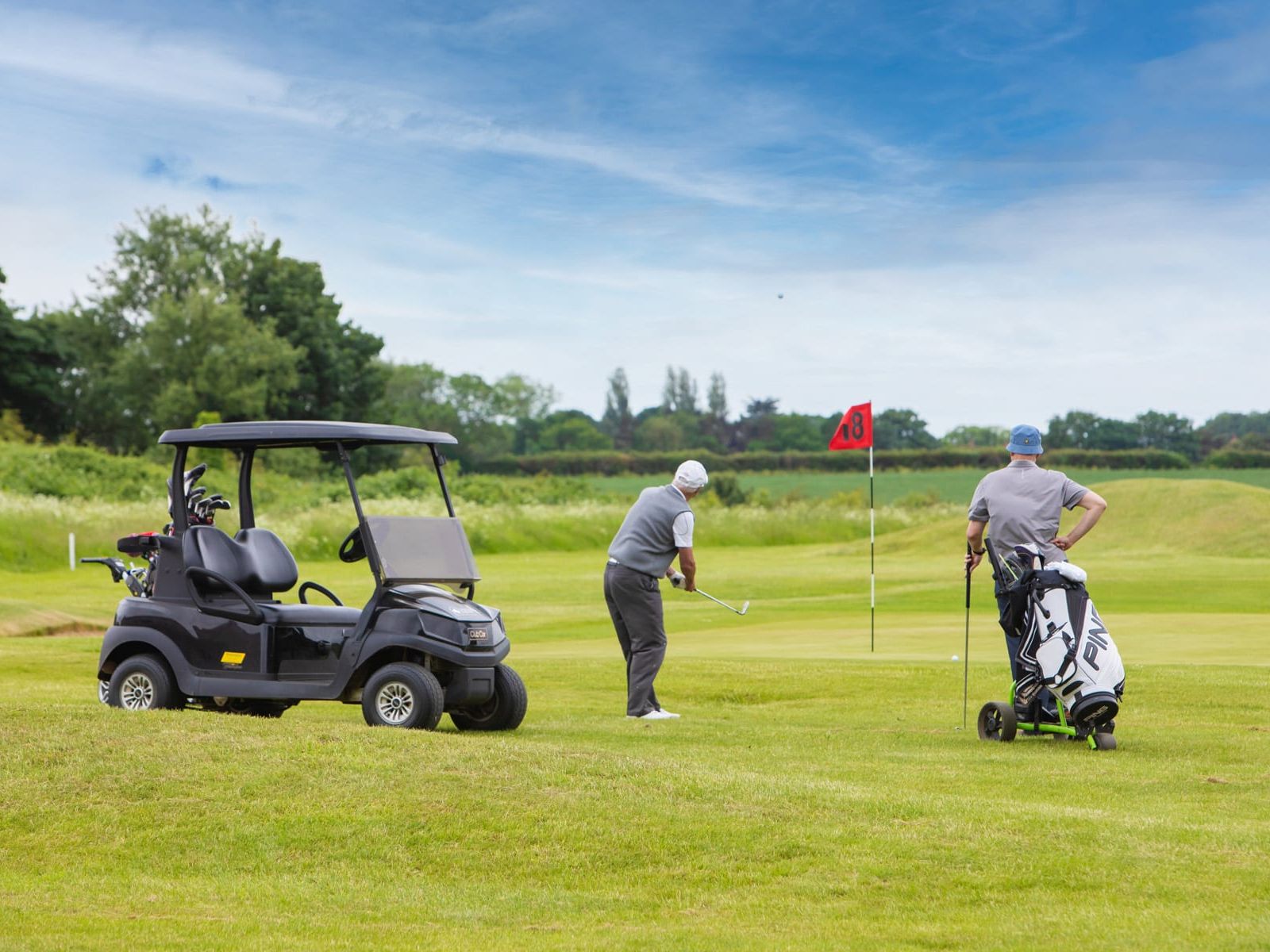 Golfers with Buggy (4)