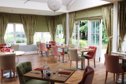 Conservatory restaurant with fresh green and orange/pink furnishings.