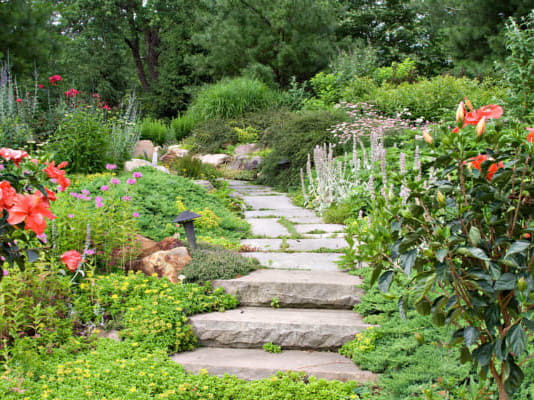 vibrant flower garden