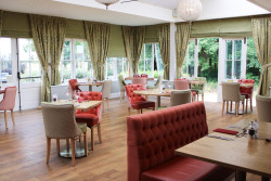 Conservatory restaurant with fresh green and orange/pink furnishings.