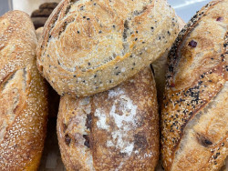 Sourdough Bread