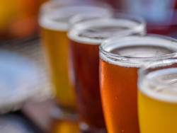 Ale Flight