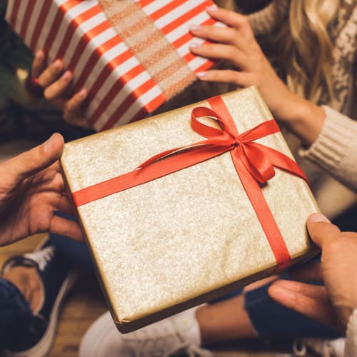 Christmas Gift Guide