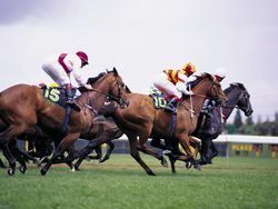 Race Night