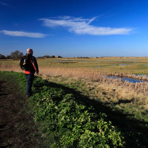 Thronham Coast Path Walk
