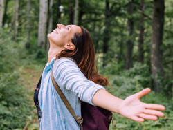 Forest Bathing Sessions available at Sandringham Estate Norfolk