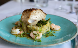 No. 82 at Heacham Manor Coley and Prawns