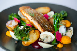 Seabass and Clams
