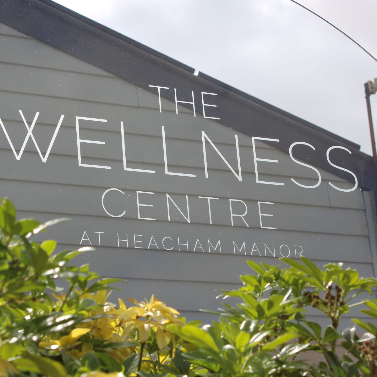 The Wellness Centre Logo on glass
