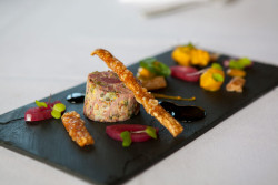 Ham Hock Terrene