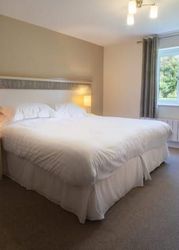 dog-friendly-cottage-room