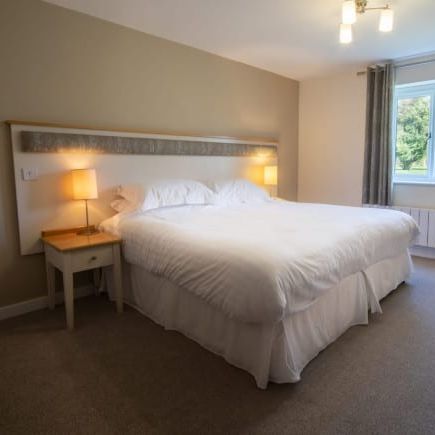 dog-friendly-cottage-room