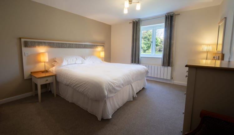 dog-friendly-cottage-room