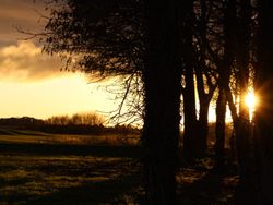 Autumn Golf Course Image