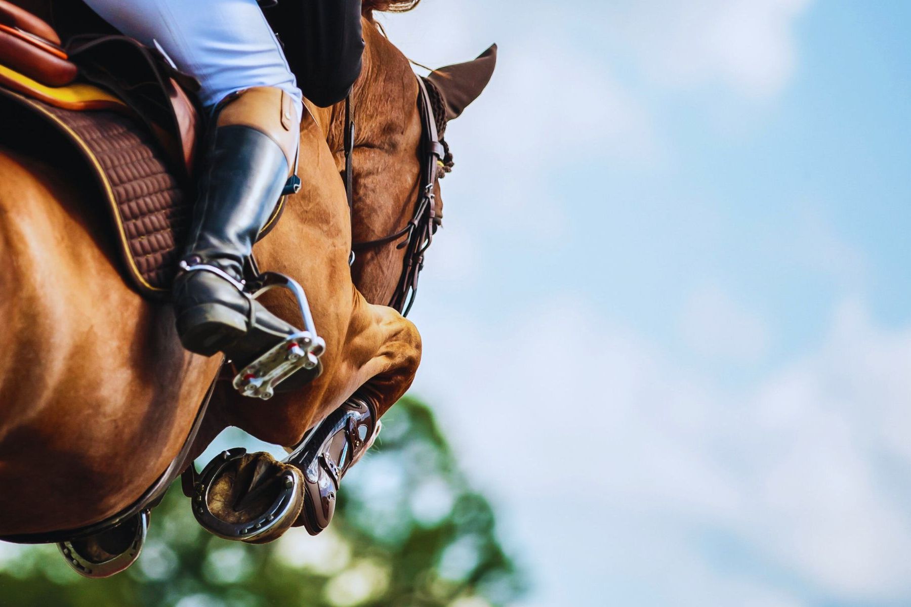 Burnham Market Horse Trials