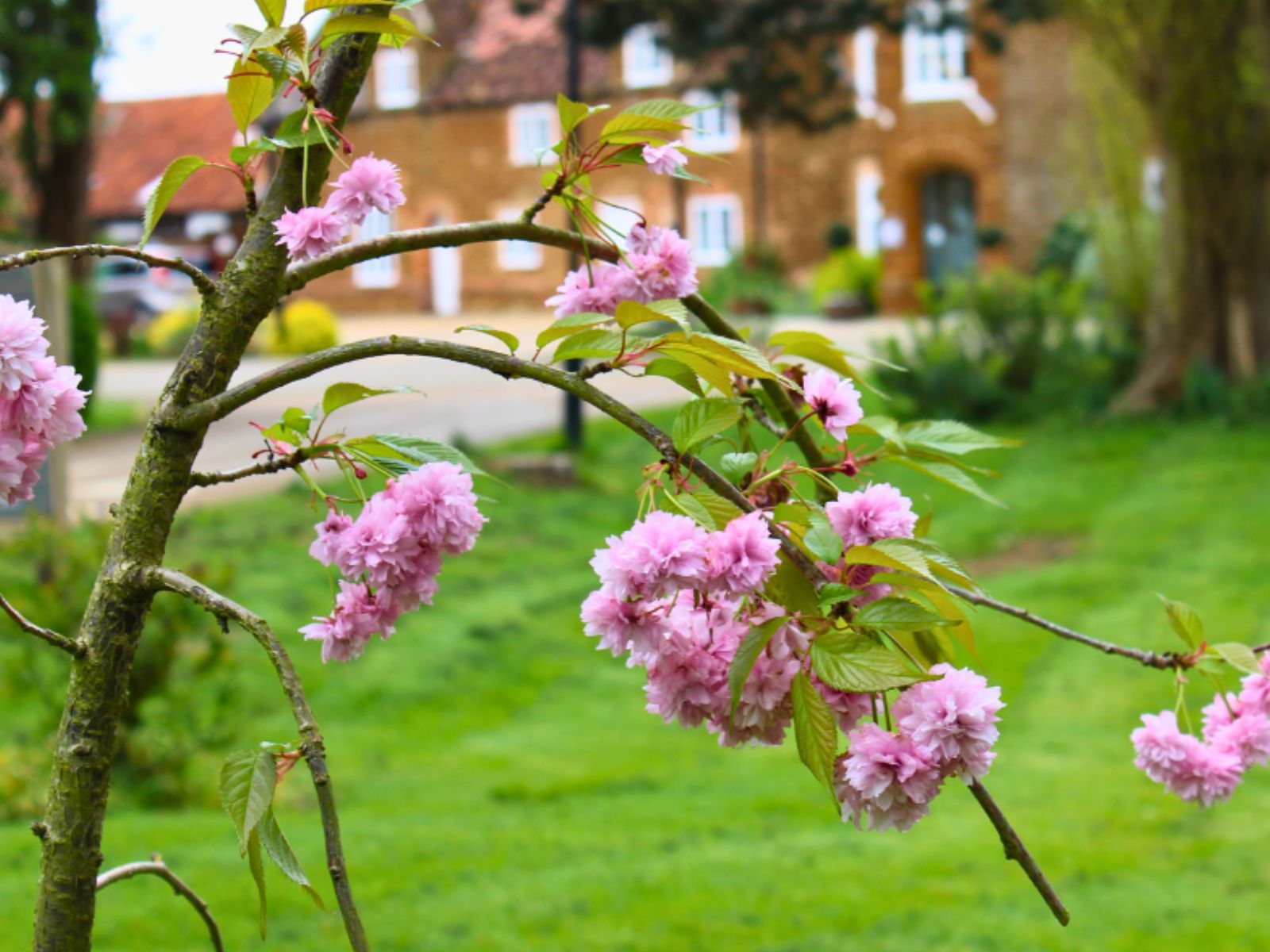 Spring at Heacham Manor Hotel