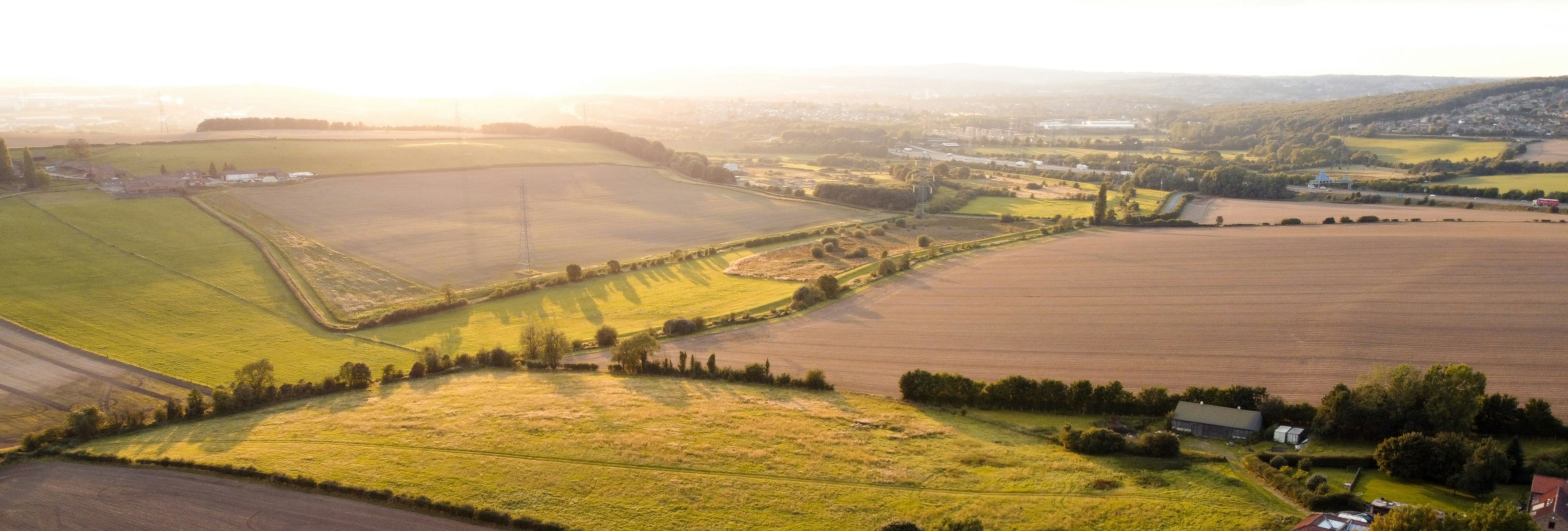 Aerial view of sunlit farmland and fields with scattered trees and buildings
