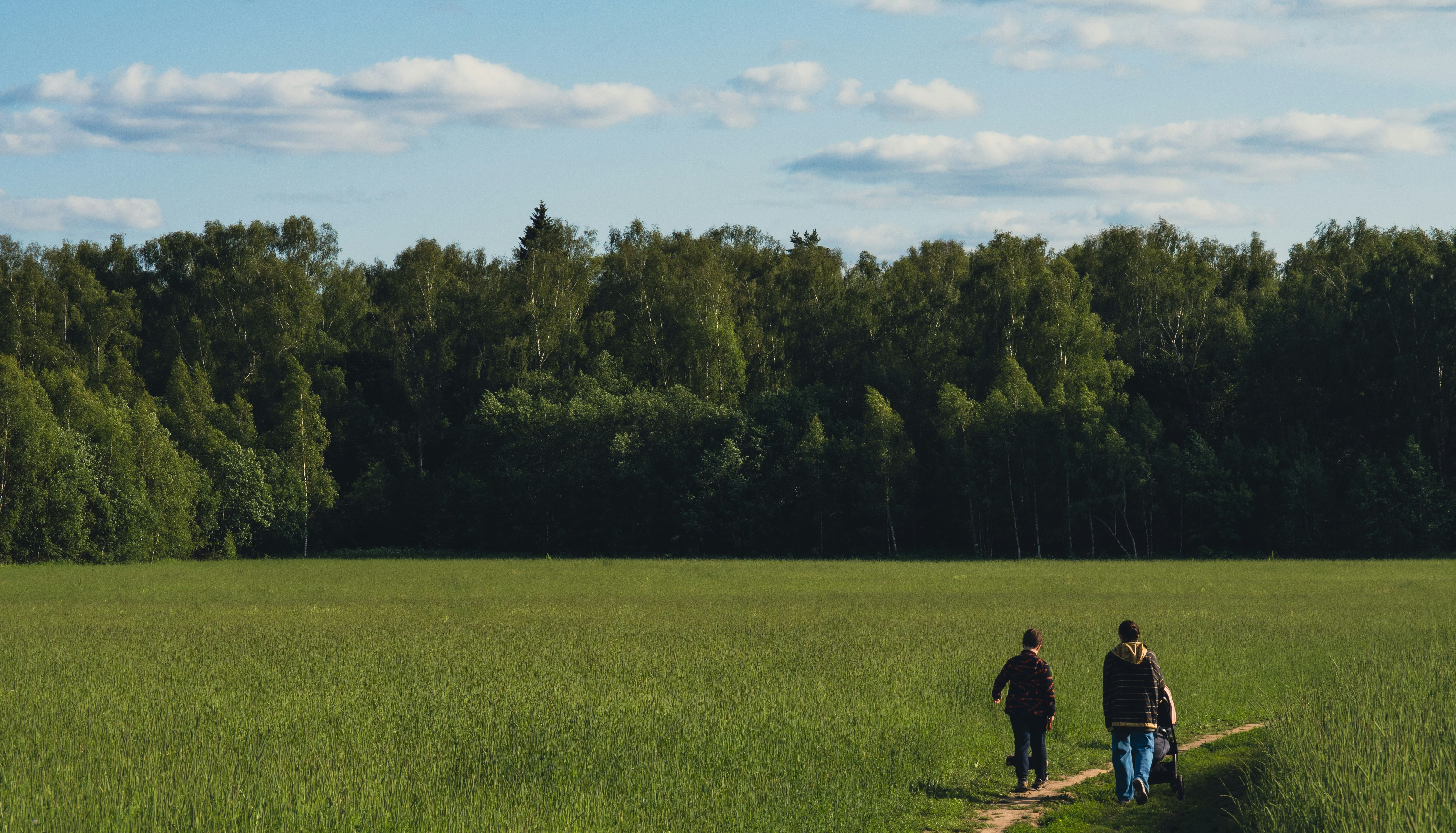 Two people walking down a dirt path through a green field toward a forest under a blue sky with clouds