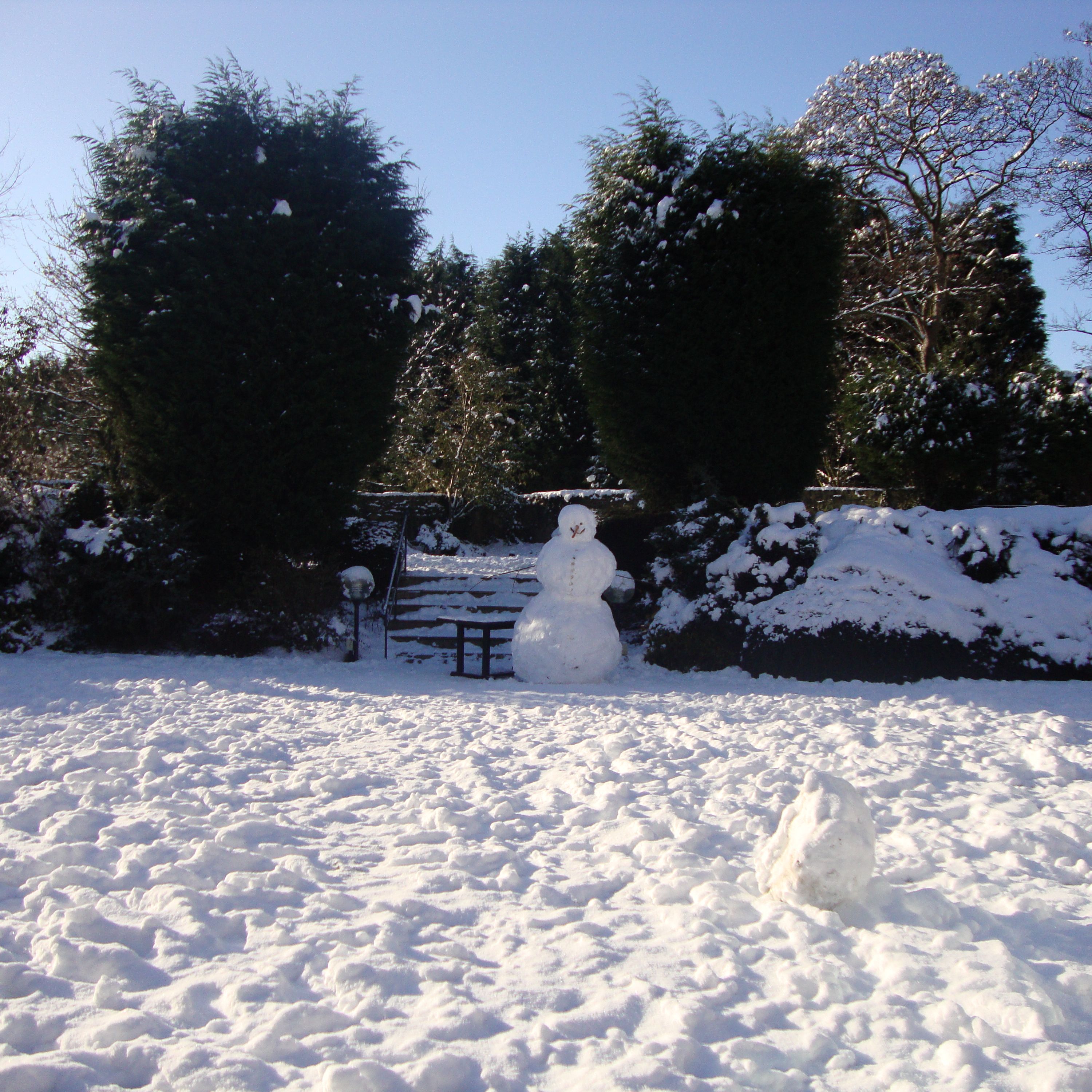 A snow-covered garden with a snowman in the background and trees surrounding the area.