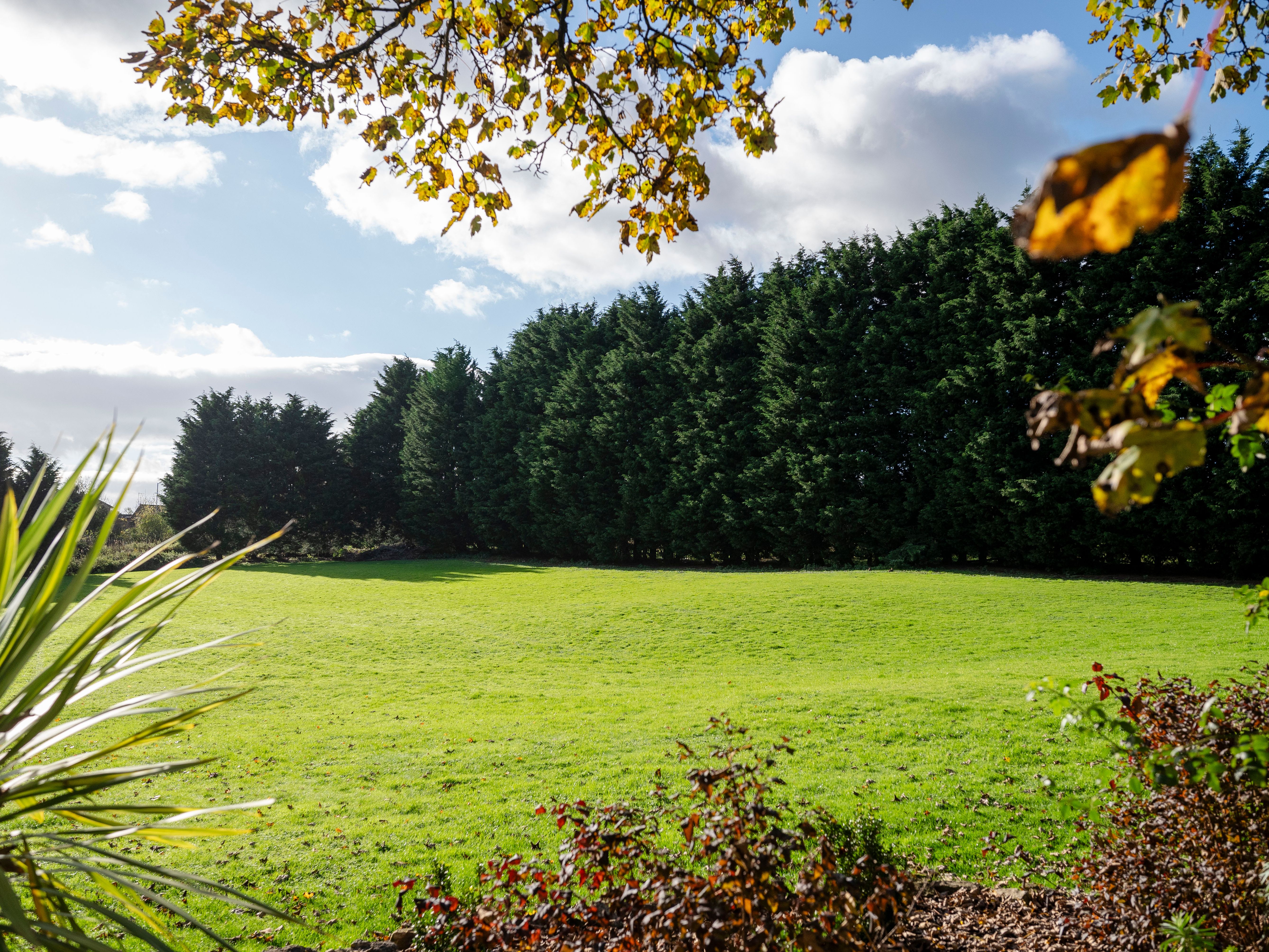 Green grassy field bordered by tall evergreen trees under a partly cloudy sky
