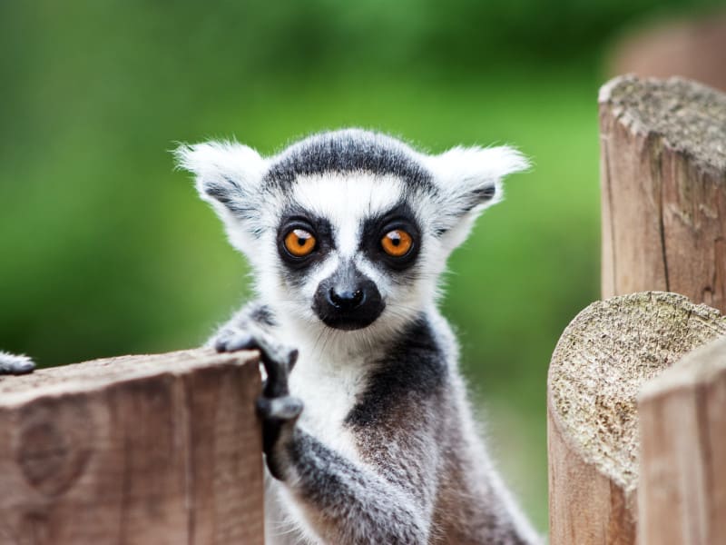 stephen-hickman-y1-fZn_icM4-unsplash