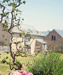 Hills Farm Stays