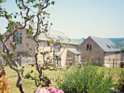 Hills Farm Stays
