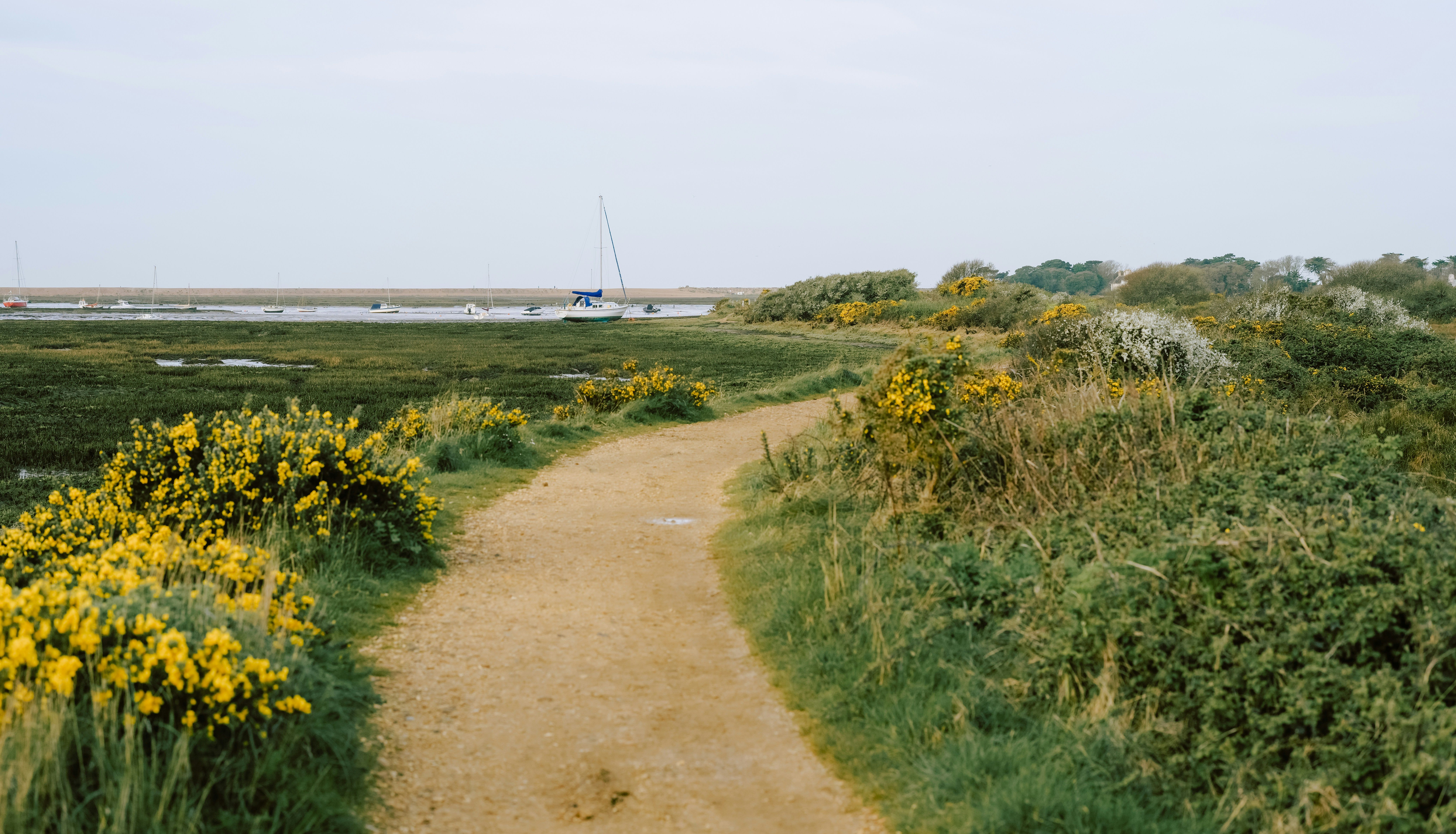 annie-spratt-jK3hIRyFRws-unsplash