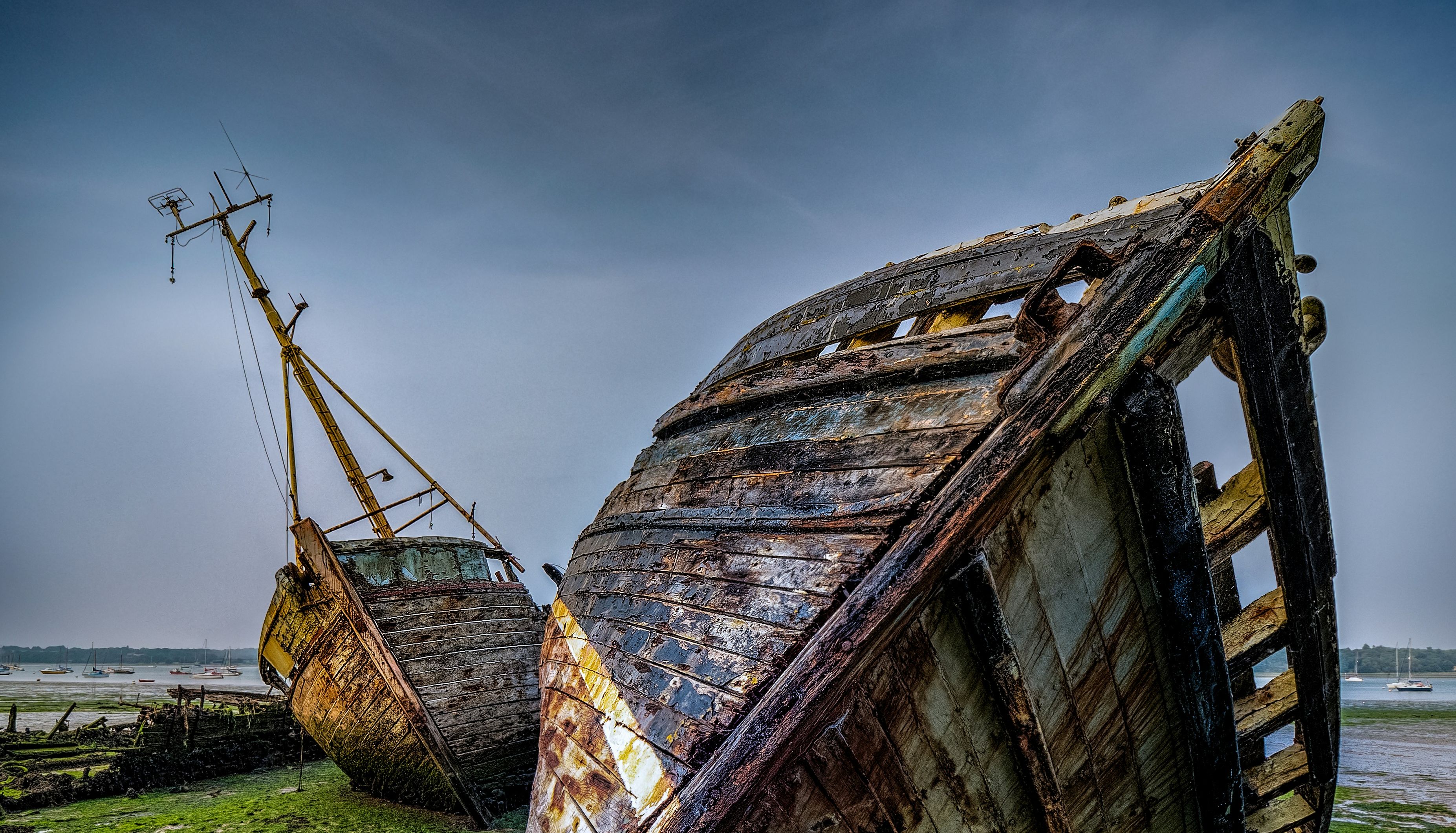 william-warby-m9AAC2PUIVw-unsplash