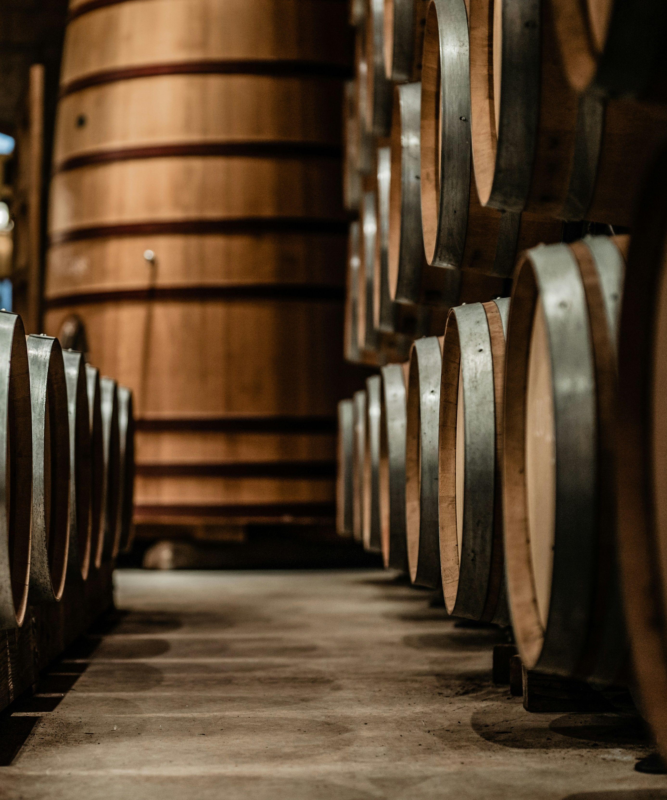 Wooden barrels lined up in a wine cellar