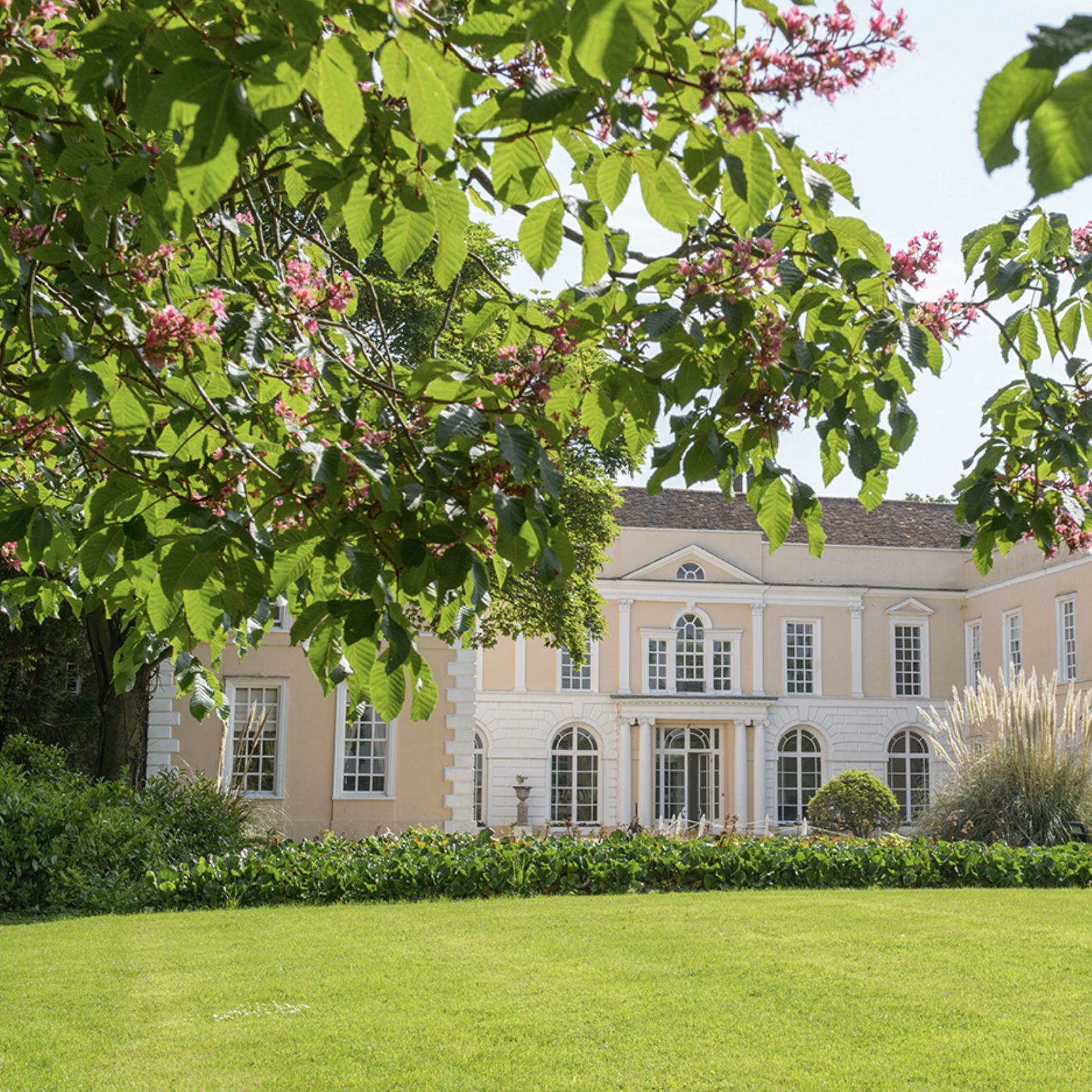 Elegant manor house with manicured lawn and flowering tree branches in foreground