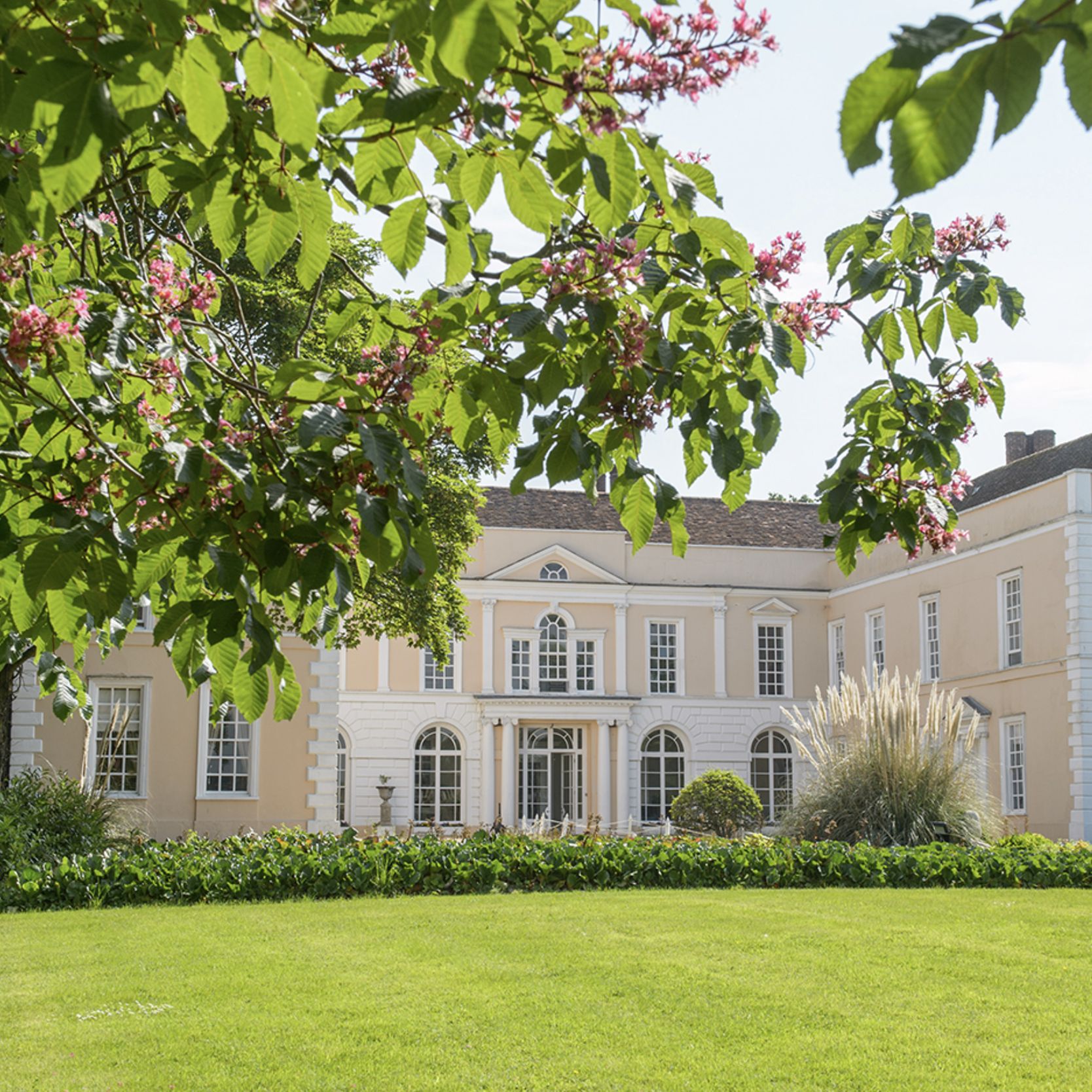 Elegant manor house with manicured lawn and flowering tree branches in foreground