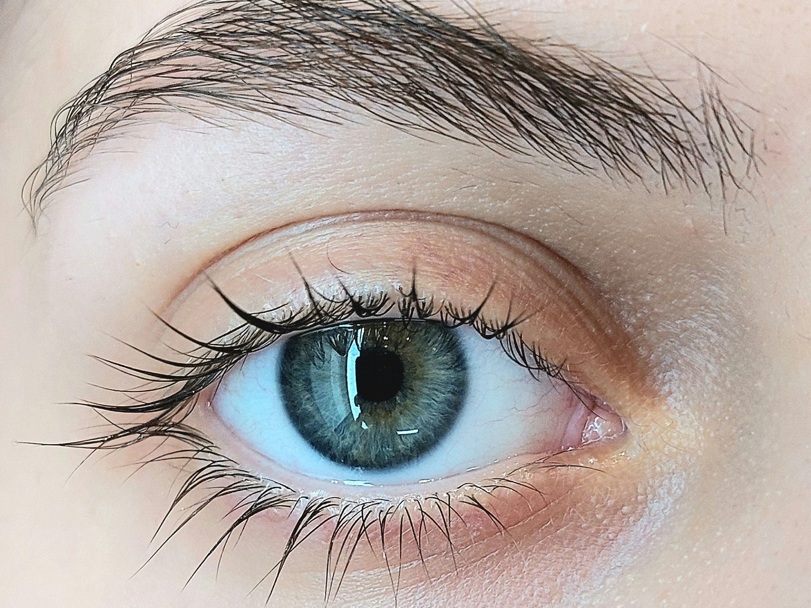 Close-up of a human eye with blue-green iris and well-defined eyebrow