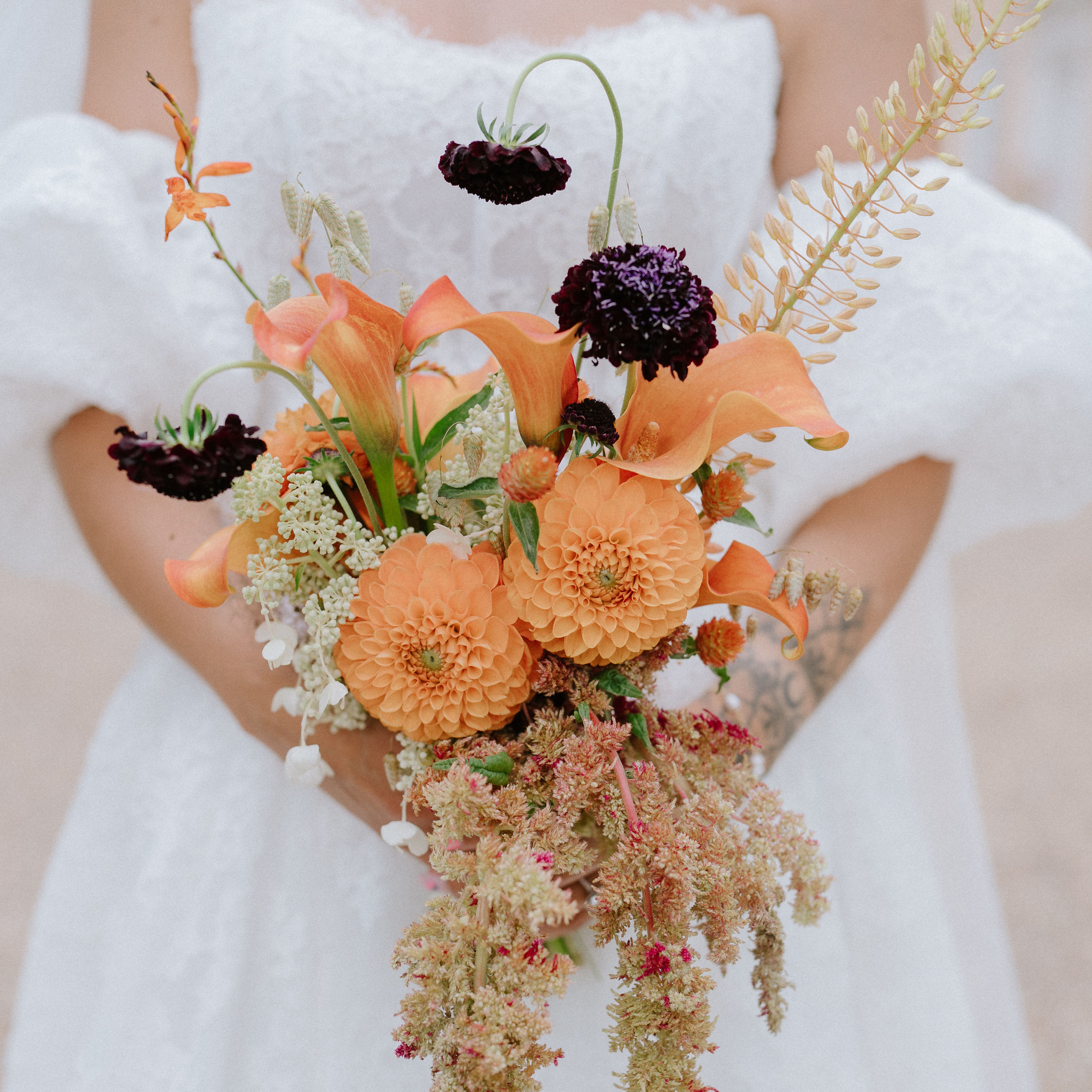 Bride in a white lace gown holding a cascading bouquet of peach flowers, dark blooms, and airy greenery.