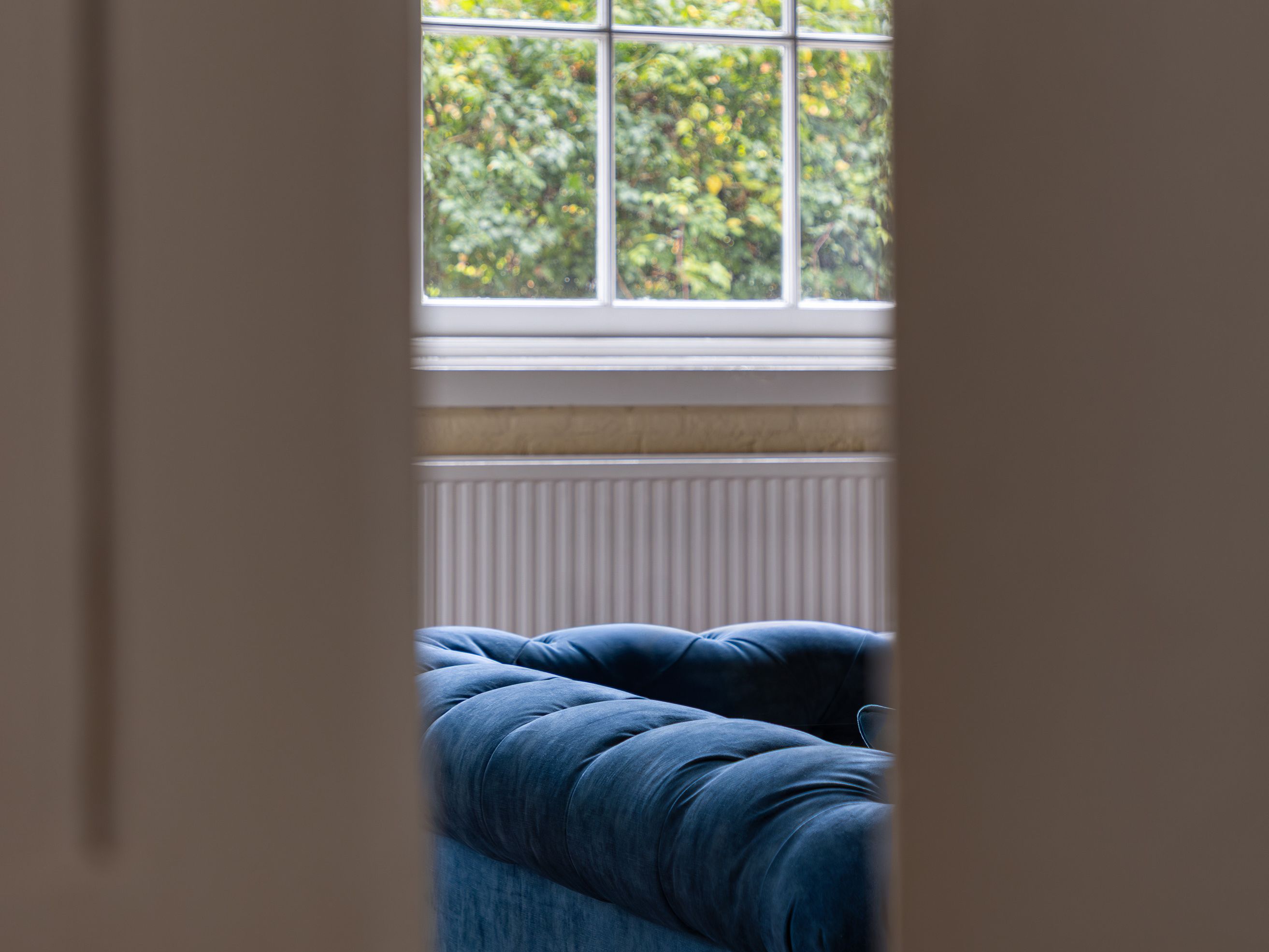 View through a partially open door showing a blue velvet sofa and a large window with greenery outside