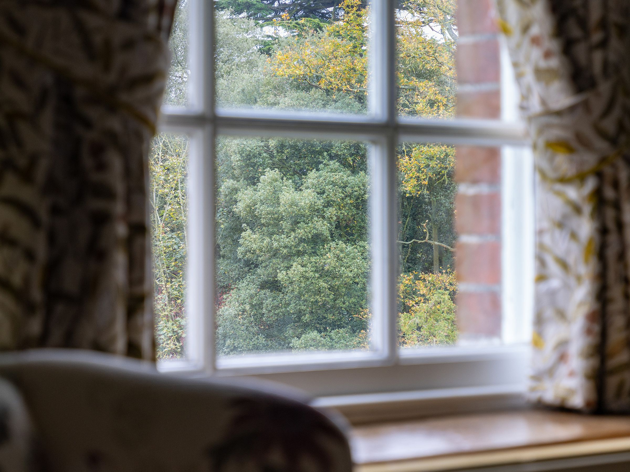 View through a window with curtains, showing green trees outside.