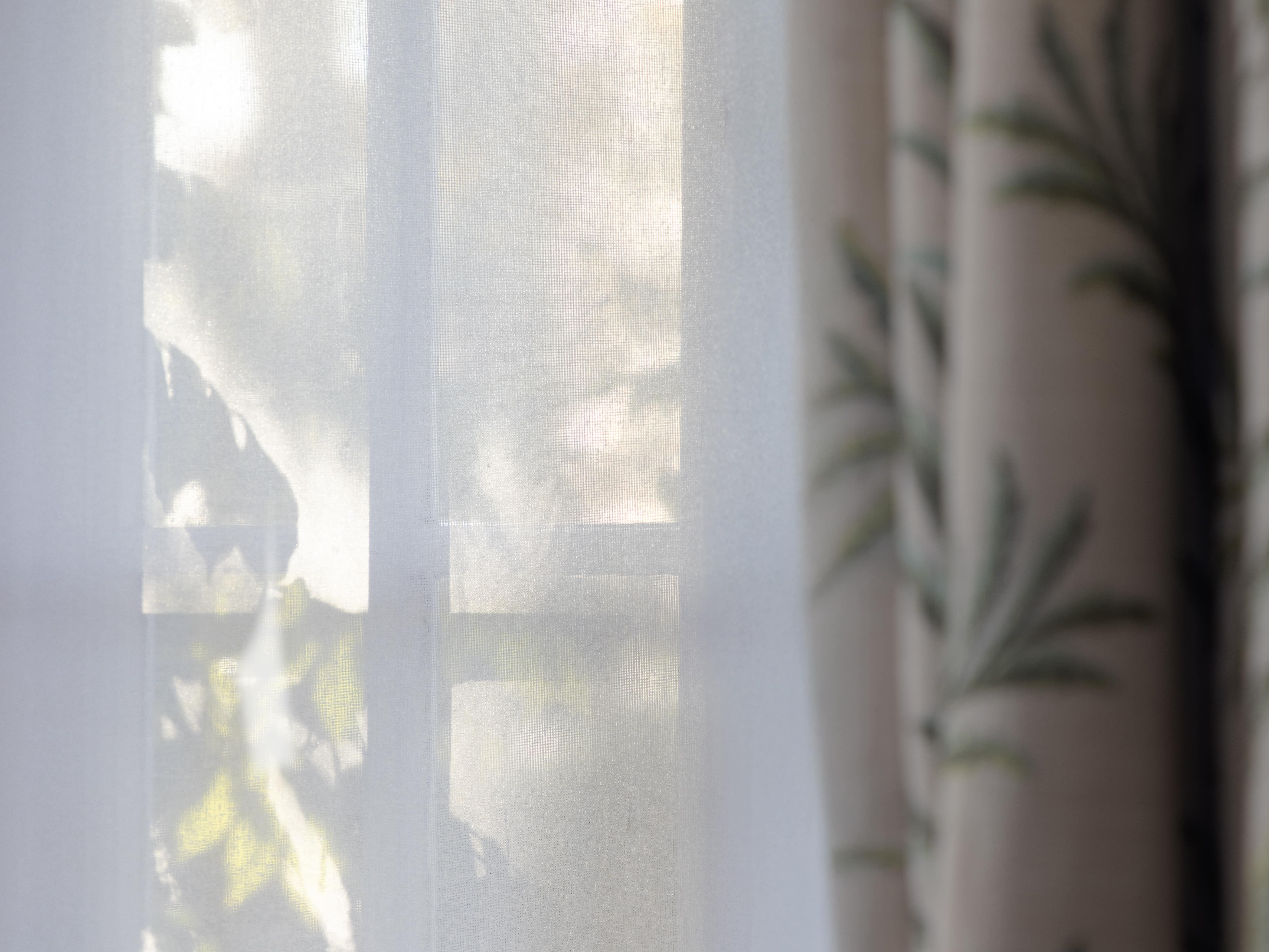 Sheer curtain with sunlight and plant shadows next to patterned drapes