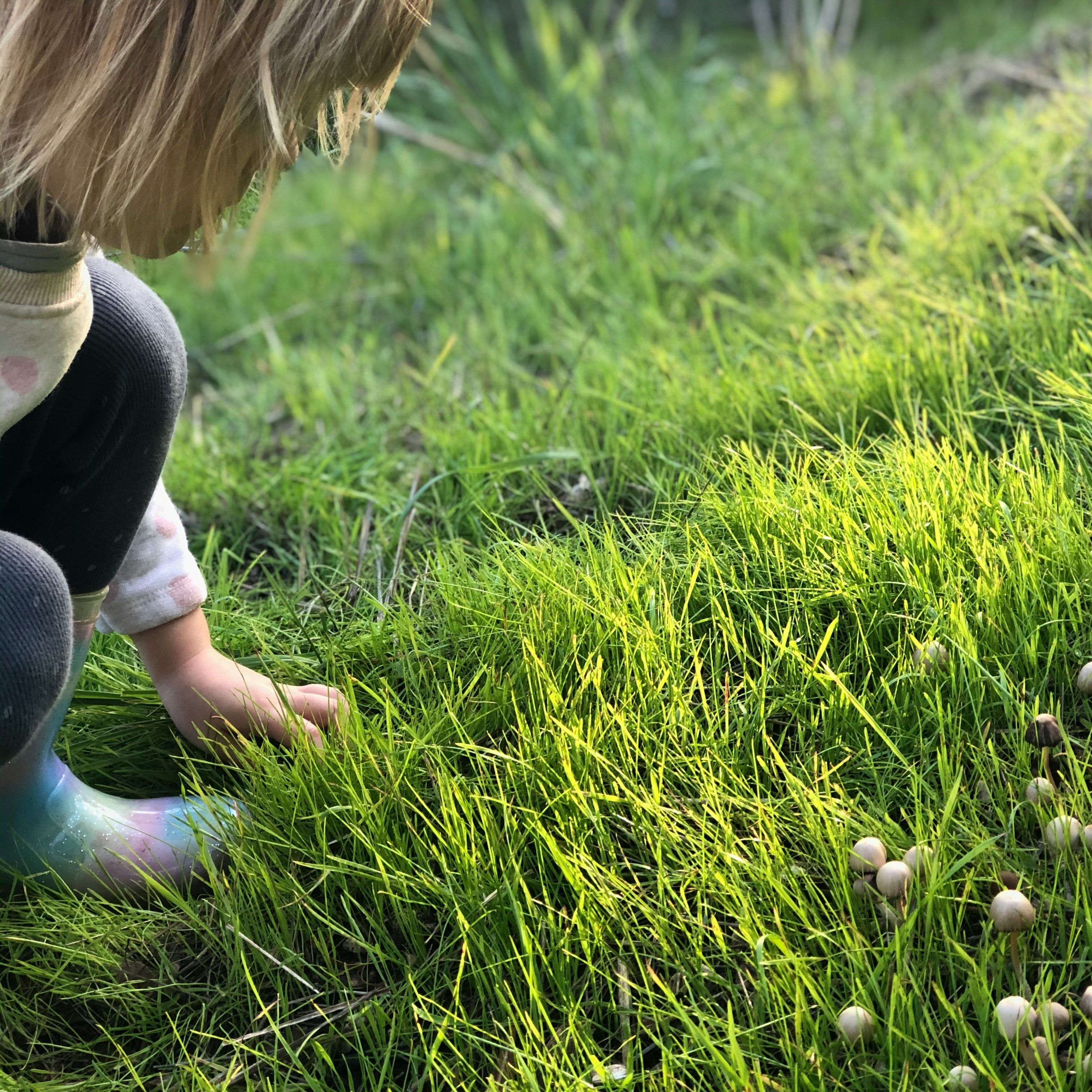 Child crouching on green grass, reaching towards a cluster of small mushrooms.
