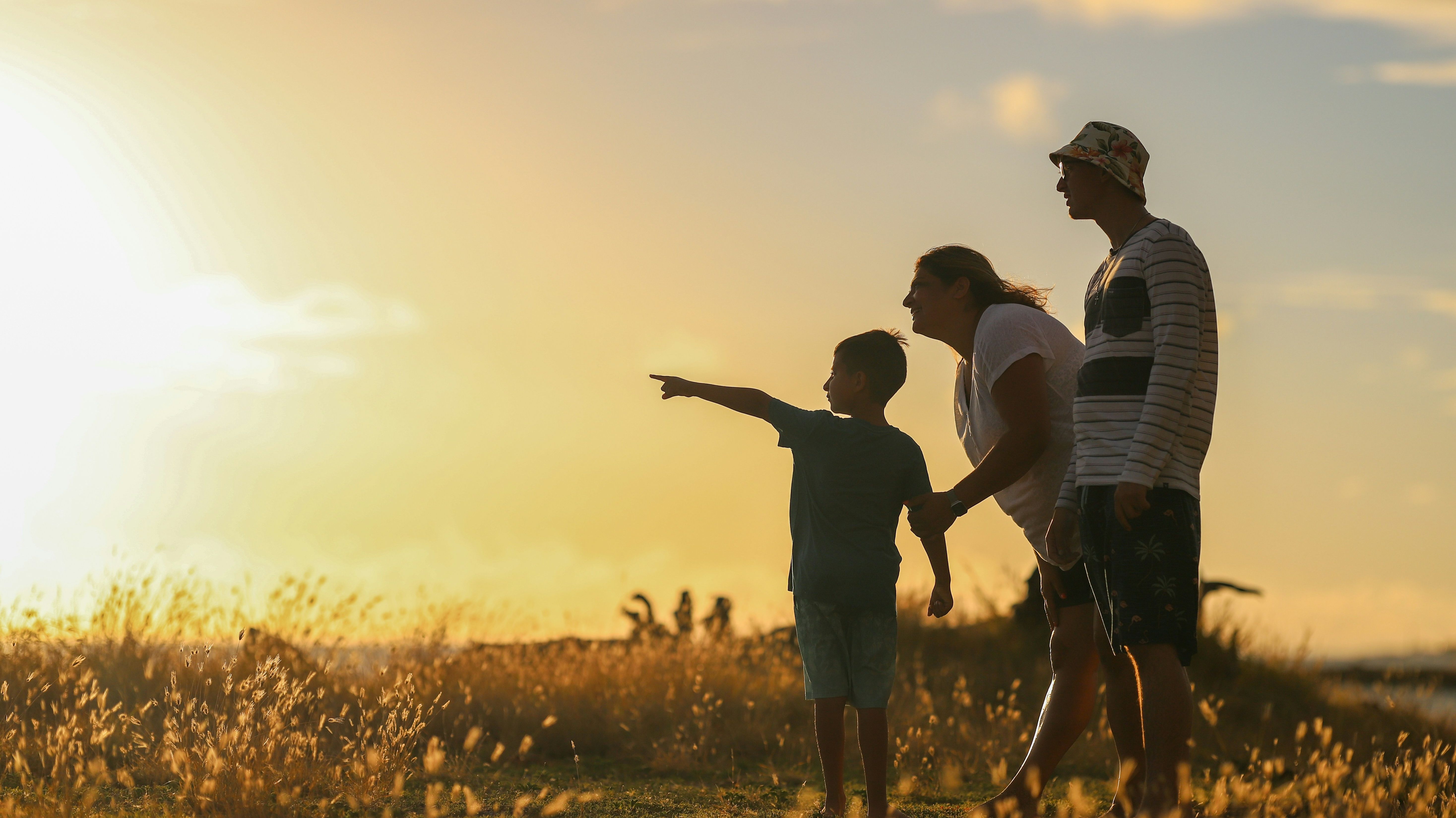 Family standing in a grassy field at sunset with a child pointing towards the horizon