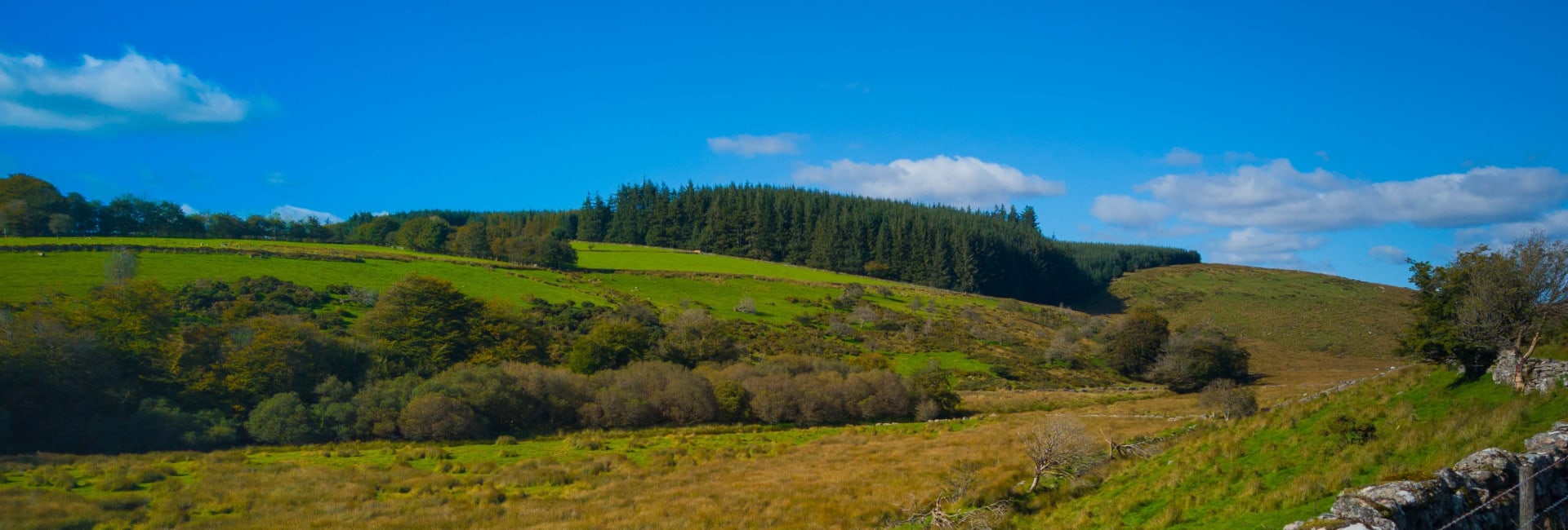 louis-tripp-zz5KRVJO7Wg-unsplash