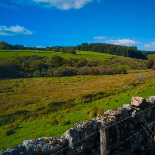 louis-tripp-zz5KRVJO7Wg-unsplash