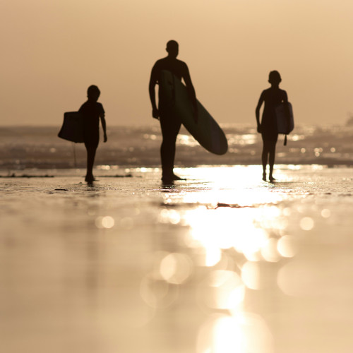 family surf